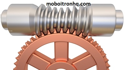 bánh răng giun - double throated worm gear