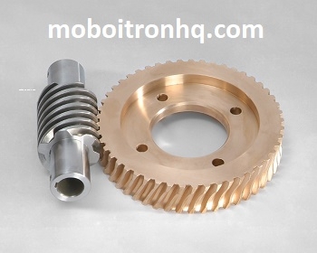 bánh răng sâu - single throated worm gear