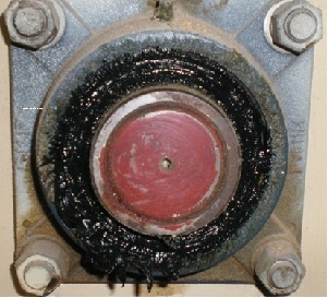 tra mỡ quá nhiều