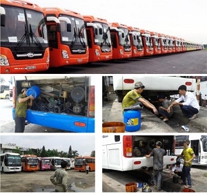 daudongcocaltexcototkhong