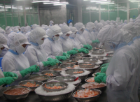 Nhà cung cấp dầu mỡ thực phẩm uy tín tại TPHCM và các tỉnh miền Tây