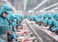 Dầu bôi trơn băng tải an toàn thực phẩm – Giải pháp tối ưu cho ngành sản xuất thực phẩm