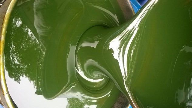 dầu hóa dẻo cao su rpo