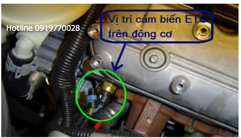 cam-bien-nuoc-lam-mat-tren-oto