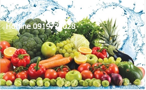 chung-chi-an-toan-thuc-pham