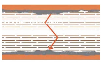 an-mon-la-dong-trong-dau-bien-the