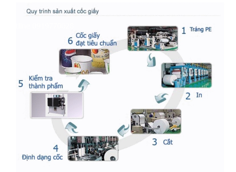 quy-trinh-san-xuat-ly-giay-coc-giay