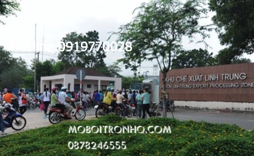 nha-phan-phoi-mua-ban-dau-mo-boi-tron-molygraph-tai-khu-che-xuat-linh-trung-1-thu-duc