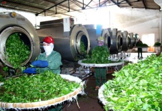 dau-truyen-nhiet-an-toan-thuc-pham-cho-he-thong-say-tra