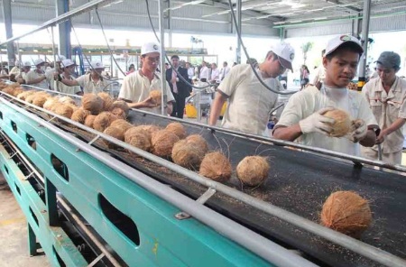 dau-mo-boi-tron-nha-may-che-bien-dua