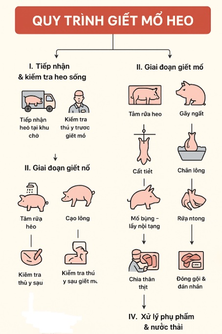 quy-trinh-giet-mo-heo-hien-dai