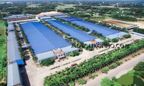 dai-ly-ban-dau-truyen-nhiet-tai-kcn-co-chien-tra-vinh