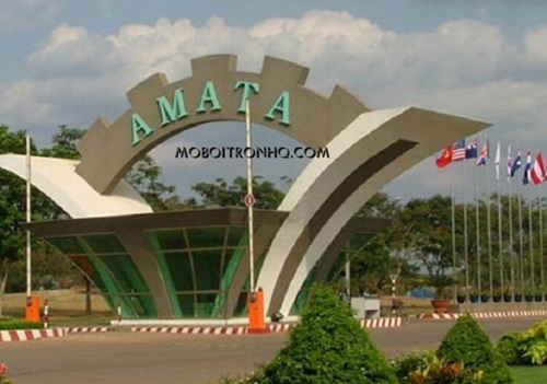mua-ban-dau-dong-co-tai-kcn-amata-dong-nai