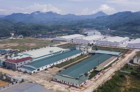 ban-dau-dong-co-tai-cum-cong-nghiep-va-dich-vu-an-luu-quang-nam