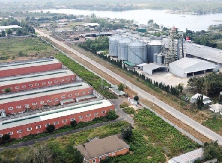ban-dau-banh-rang-hop-so-tai-cum-cong-nghiep-da-teh-huyen-dai-the-lam-dong