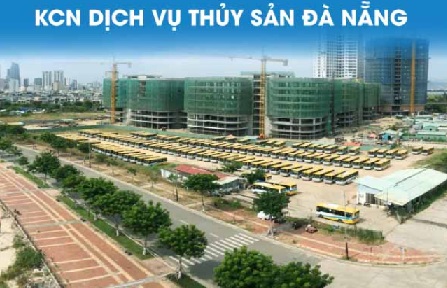 ban-dau-banh-rang-hop-so-tai-khu-cong-nghiep-dich-vu-thuy-san-da-nang