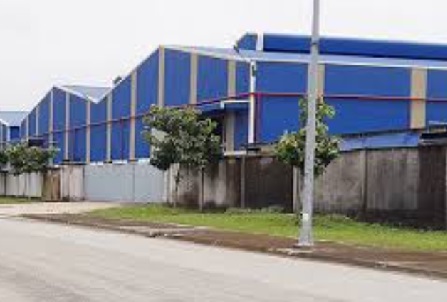 ban-dau-chong-ri-set-tai-khu-cong-nghiep-thuan-yen-tam-ky-quang-nam