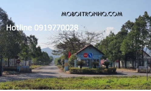 dai-ly-ban-dau-nhot-mo-boi-tron-tai-khu-cong-nghiep-tam-thang-tinh-dak-nong