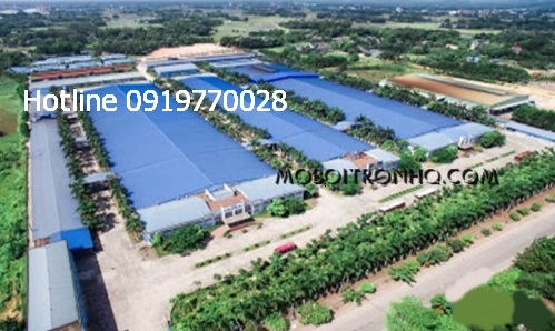 dai-ly-ban-dau-nhot-tai-kcn-co-chien-tra-vinh