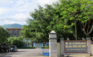 dai-ly-ban-mo-boi-tron-grenvo-tai-kcn-pho-phong-quang-ngai