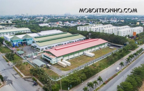 dau-dong-co-tai-kcn-du-long-huyen-ninh-hai-ninh-thuan