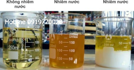 dau-thuy-luc-bi-nhiem-nuoc