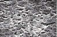 khả năng chịu tải của dầu nhớt thủy lực bánh răng