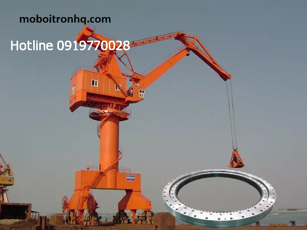 mo-bo-vong-bi-cho-can-cau