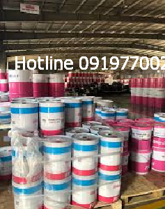 nha-phan-phoi-dai-ly-mua-ban-dau-nhot-francool-tai-binh-thuan