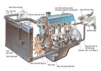 Nguyên lý hoạt động và các vấn đề thường gặp ở hệ thống làm mát trên ô tô