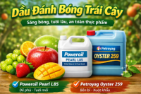 Cung cấp dầu đánh bóng trái cây