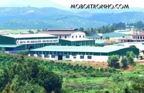 ban-dau-mo-an-toan-thuc-pham-food-grade-nsf-h1-3h-tai-kcn-loc-son-da-lat-lam-dong